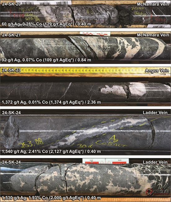 Cannot view this image? Visit: https://images.newsfilecorp.com/files/5945/238833_4f7385c174b369e9_002.jpg